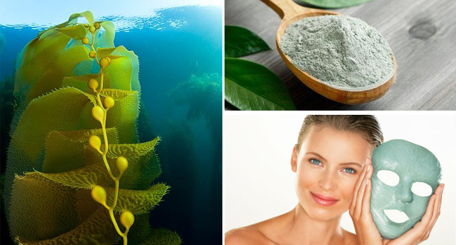 Альгинатные маски:  молодость и красота вашей кожи. фото